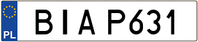 Trailer License Plate